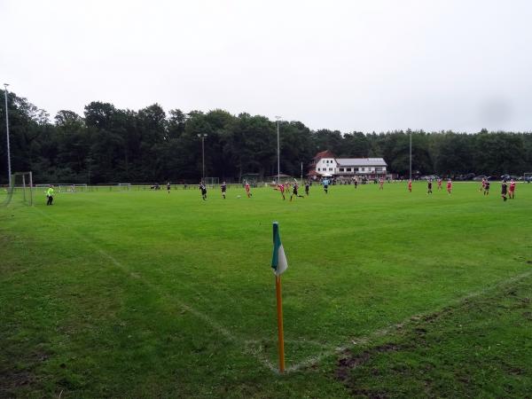 Allerkampfbahn - Hodenhagen