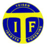 Wappen Teisen IF