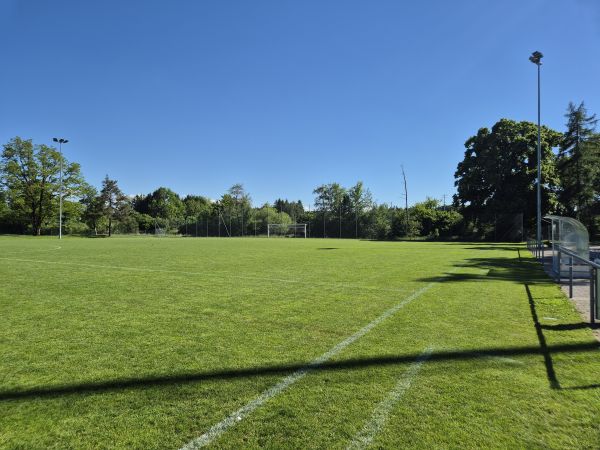 Sportanlage Meierwiesen Platz 2 - Wetzikon
