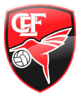 Wappen CE Flamengo de Guanambi