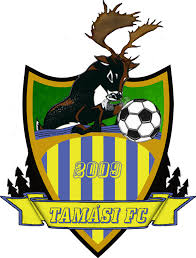 Wappen Tamási 2009 FC