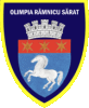 Wappen CSM Râmnicu Sărat  5313