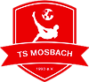 Wappen Türkspor Mosbach 1993  16485