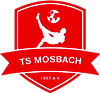 Wappen Türkspor Mosbach 1993