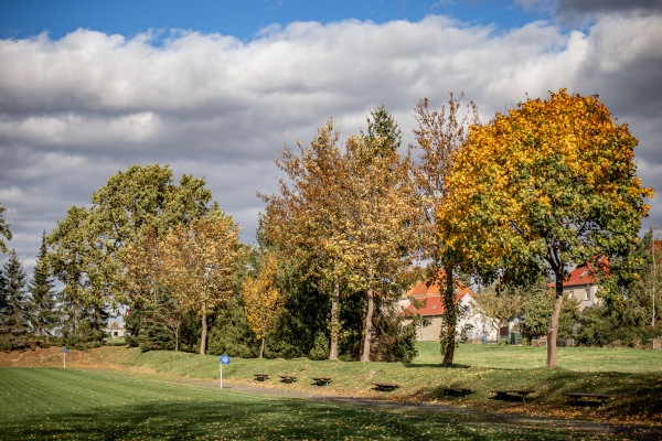 Sportanlage Sachsendorfer Straße - Wermsdorf