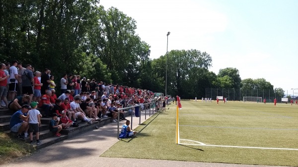 Sportgelände am Wickerbach - Wiesbaden-Delkenheim