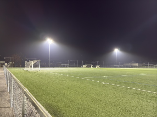 Stade des Burgondes terrain annexe - Saint-Julien-en-Genevois