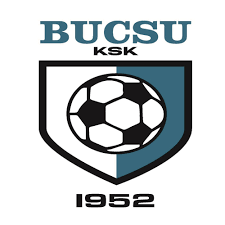 Wappen Bucsu KSK  106368