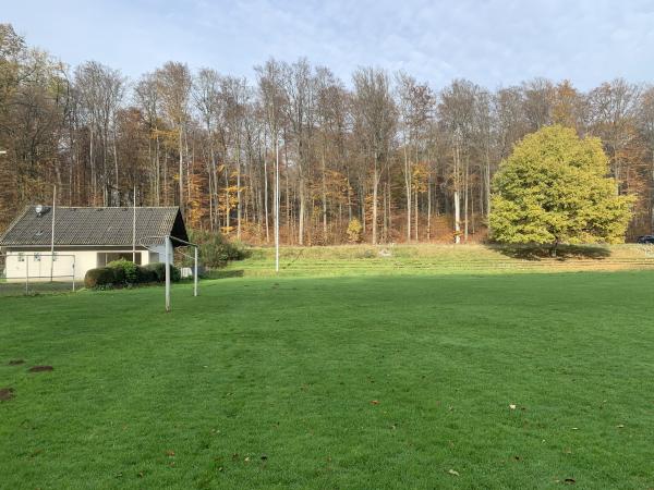 Waldsportplatz - Laubach