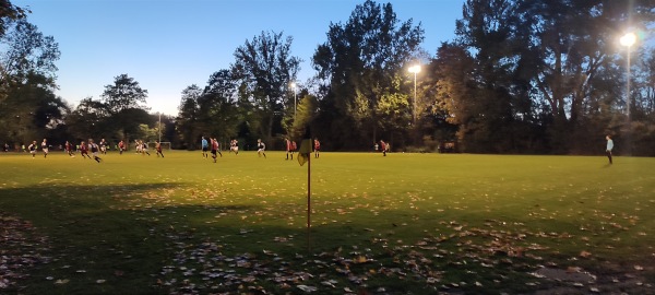 Sportpark Auf der Dehne B-Platz - Laatzen-Alt-Laatzen