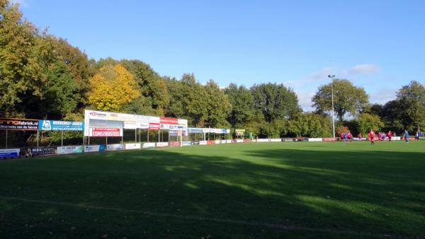 Sportpark De Bosrand veld 2-hoofdveld - Twenterand-Vroomshoop