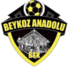 Wappen Beykoz Anadoluspor