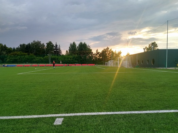 BFA-Arena - Vilnius