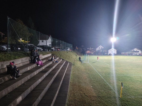 Alter Sportplatz Herzogsreut - Hinterschmiding-Herzogsreut