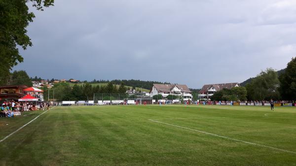 Sportplatz Waldgarten - Heimberg