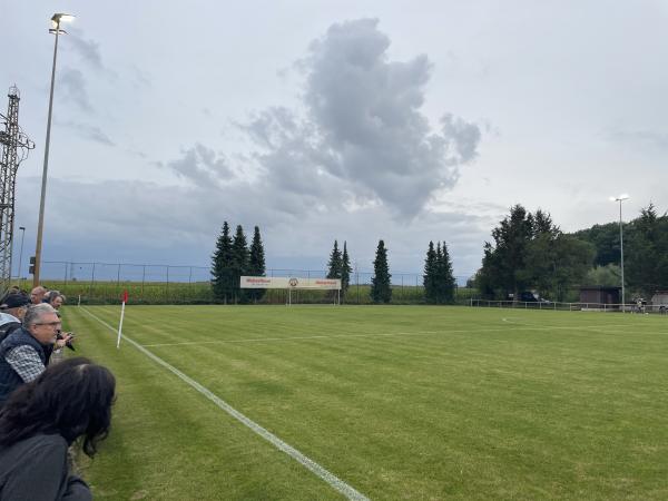Hans-Weber-Stadion Nebenplatz 1 - Rheinau/Baden-Linx