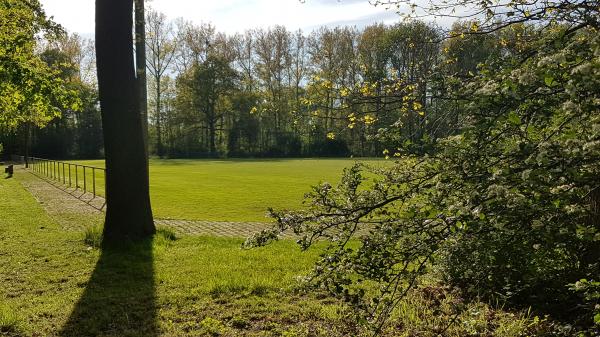 Sportanlage Dachwiesen - Peine-Dungelbeck