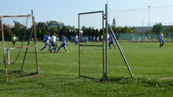 Városi Ifjúsági és Sportcentrum Fűves Edzőpálya - Zalaegerszeg