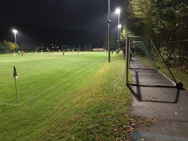 ZME-Arena - Biebergemünd-Wirtheim