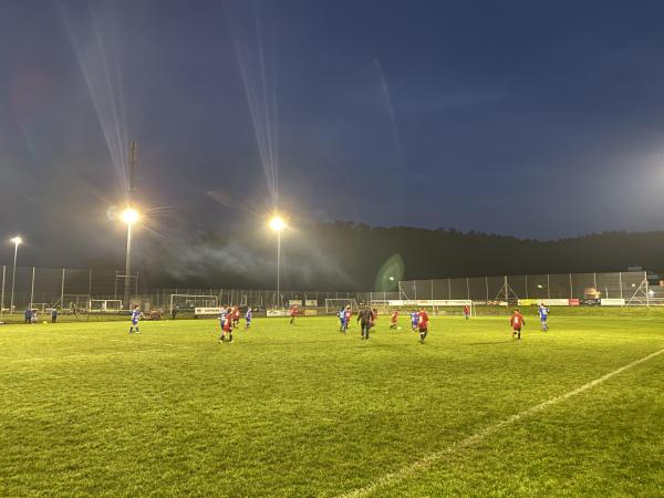 Sportanlage Pöschenriet Platz 2 - Neftenbach