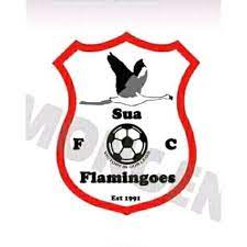 Wappen Sua Flamingoes FC