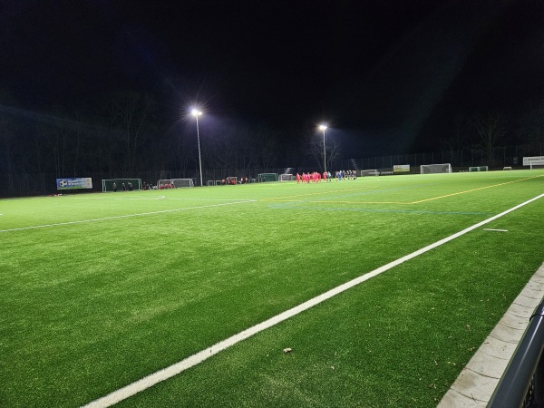 Sportanlage Pistorisstraße Platz 2 - Leipzig-Schleußig