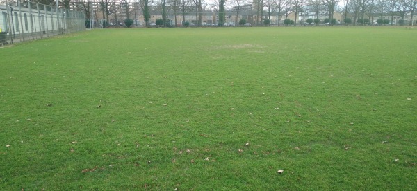 Sportpark Olympia - Baardwijk veld 2 - Waalwijk