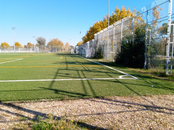 Campo anexo EF Carabanchel - Madrid, MD