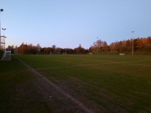 Sportpark Skoatterwâld veld D - Heerenveen