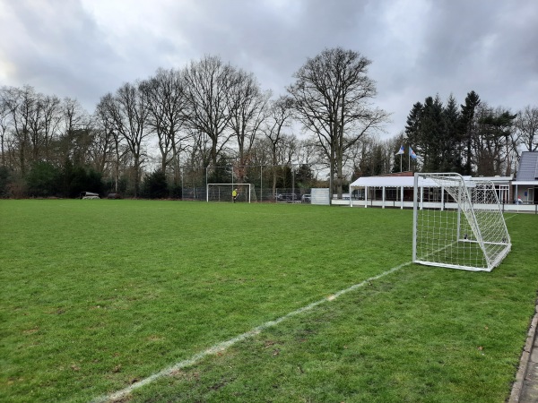 Sportpark Actief veld 3 - Tynaarlo-Eelde