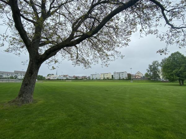 Sportplatz Tellenfeld Ost - Amriswil