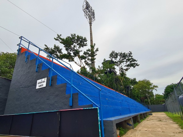 Estadio Ricardo Gregor - Asunción
