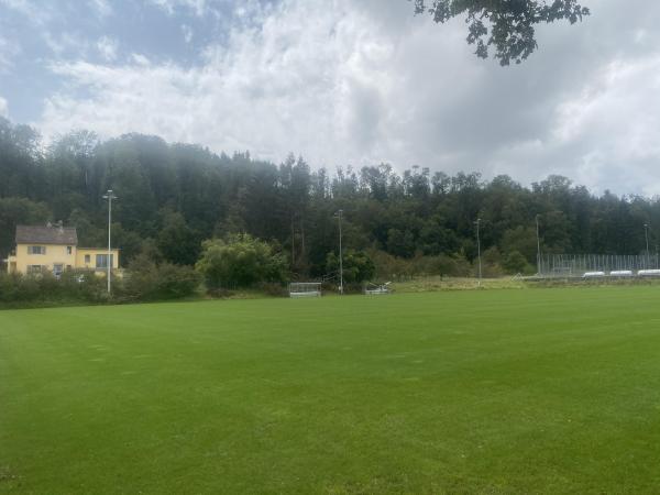 Sportanlage Buchlern Platz 4 - Zürich