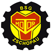Wappen BSG Motor Zschopau 2005  30722