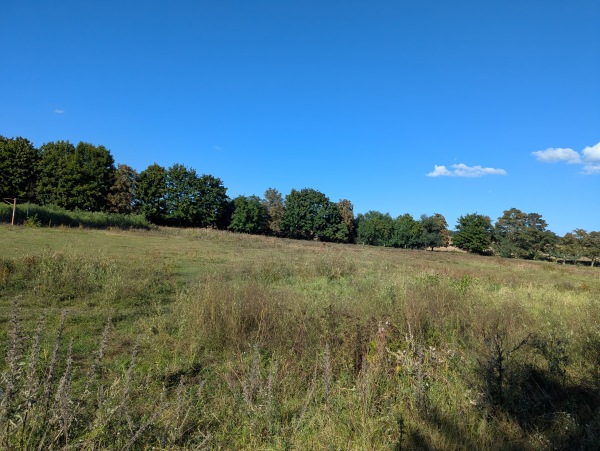 Sportplatz Zirchow - Zirchow
