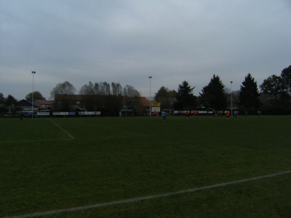 Terrein Wijnveld - Sint-Niklaas-Sinaai