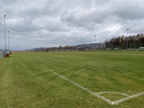 Sportplatz Allmeind Platz 3 - Schmerikon