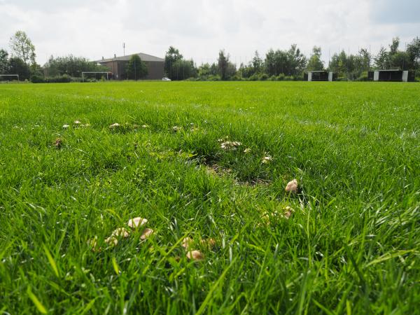 Sportplatz Lissaboner Allee - Dortmund-Schüren