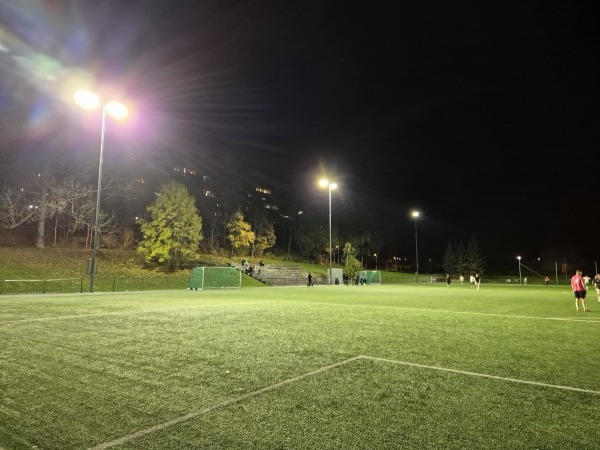 Jesperudjordet kunstgress - Oslo