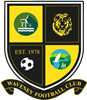 Wappen Waveney FC