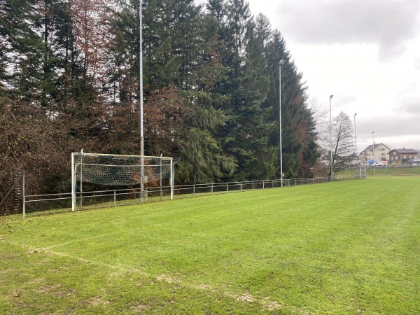 Sportplatz Baumann Federn - Ermenswil