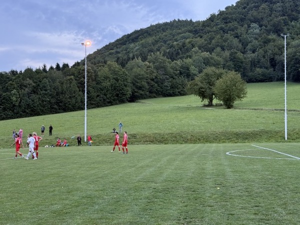 Sportanlage am Freibad Platz 2 - Mössingen-Öschingen