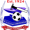 Wappen Albert Foundry FC