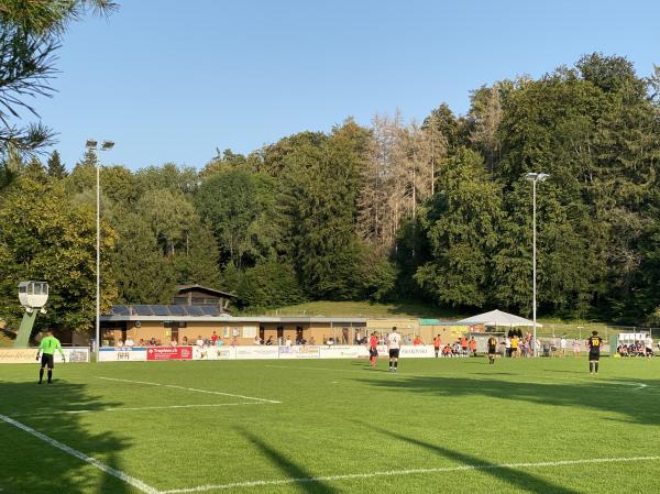 Sportplatz Widenbad - Männedorf