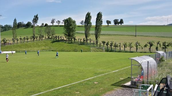 Ennsleiten Park - Steyr