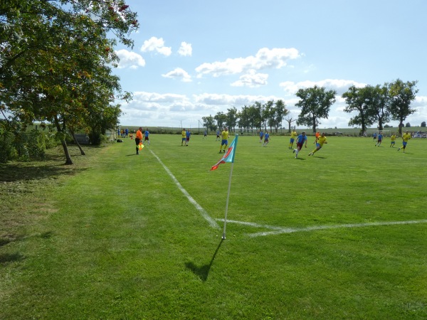 Boisko w Lubinicku - Lubinicko