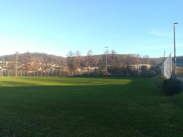 Sportplatz Eisweiher Platz 3 - Oberwil