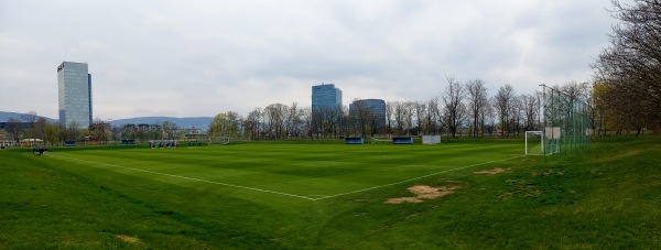 Vedľajšie ihrisko Pasienky - Bratislava