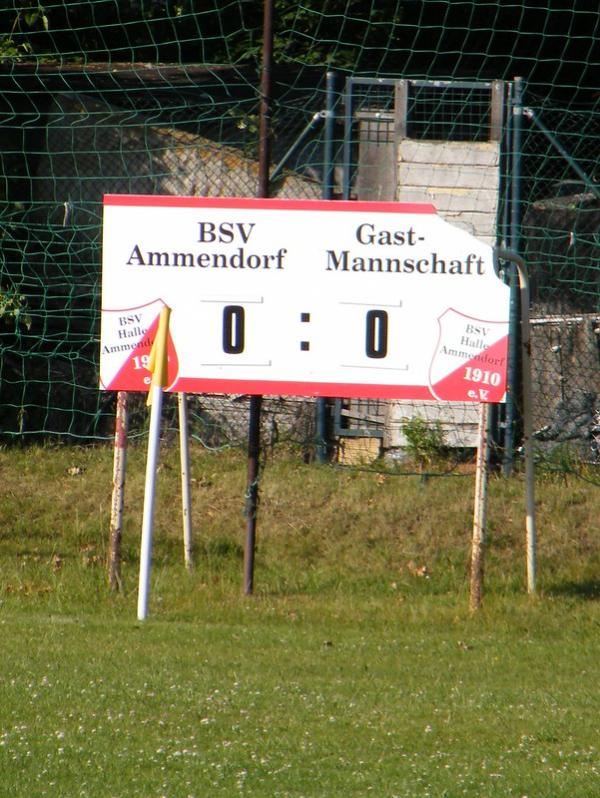 Sportanlage Steinstraße - Halle/Saale-Ammendorf/Beesen