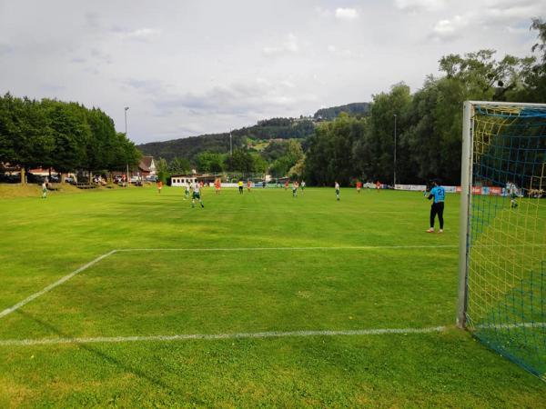 Sportplatz Rheinblick - Gaißau